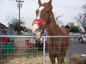 STD Testing Round Rock, TX