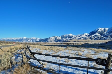 STD Testing Bozeman, MT