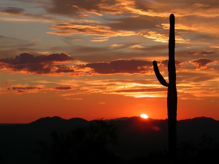 sti-testing-deer-valley-az.jpg