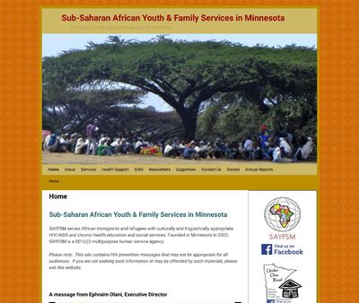 STD Testing at Sub-Saharan African Youth & Family Services in Minnesota (SAYFSM)