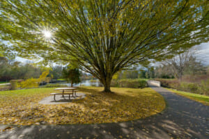 STD Testing options within Beaverton, Oregon