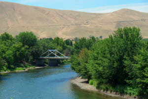 STD Testing options within Federal Way, Washington