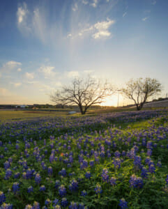 STD Testing options within Irving, Texas
